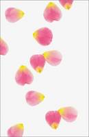 Petals Journal